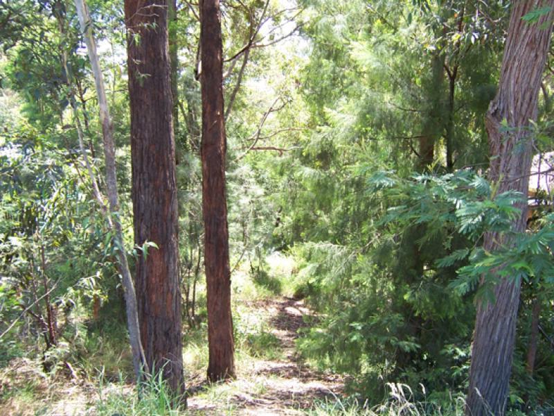 Long Beach - Ref 3325 Picture 1