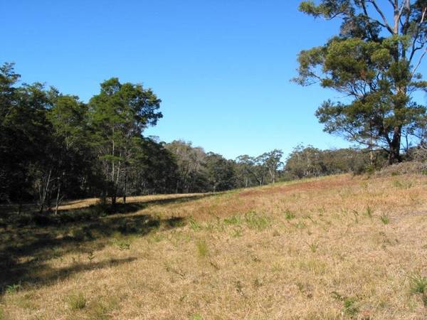 Malua Bay - Ref 2287 Picture