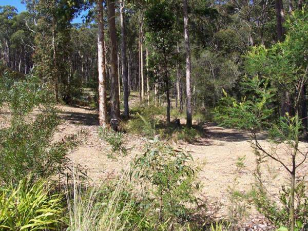 Malua Bay - Ref 3059 Picture 1