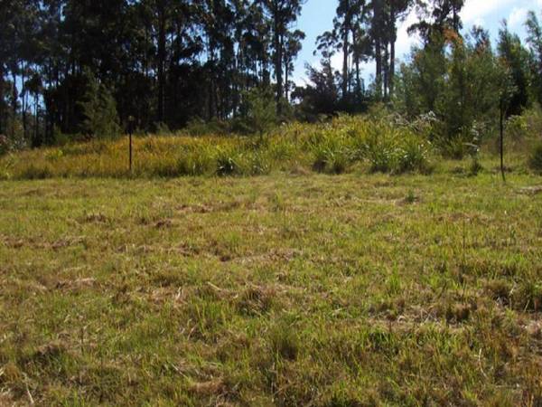 Malua Bay - Ref 3279 Picture 1