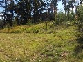 Malua Bay - Ref 3279 Picture