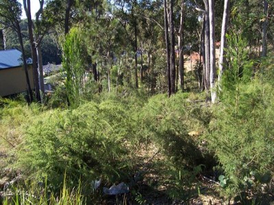 MALUA BAY - Ref 3408 Picture