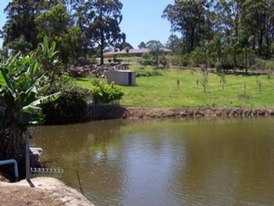 Surf Beach - Ref - 2399 Picture