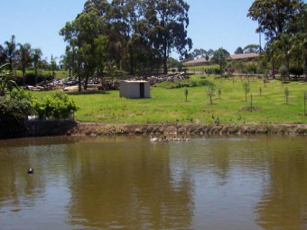 Surf Beach - Ref - 2399 Picture 2