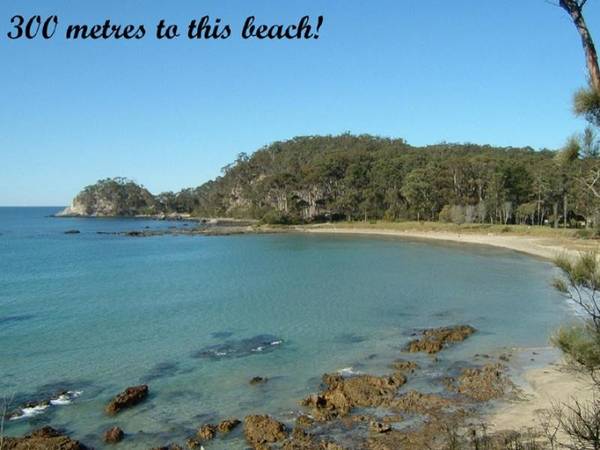 Surf Beach - Ref 3273 Picture 1