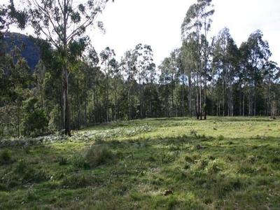 Termeil - Ref 2677 Picture Termeil - Ref 2677 Picture