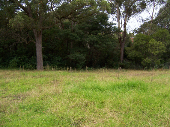 Batemans Bay - Ref 3433 Picture 3