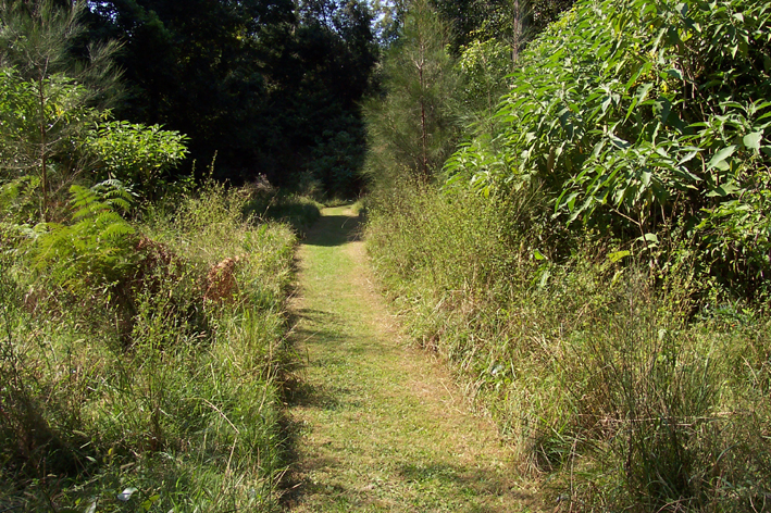 Long Beach - Ref 3397 Picture 2