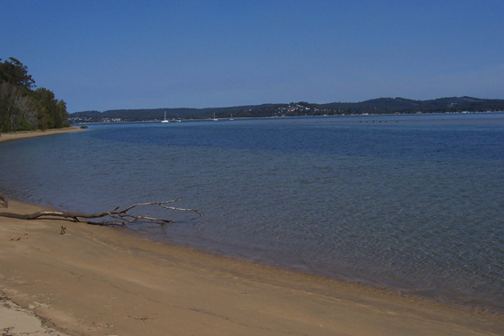 Long Beach - Ref 3397 Picture 3