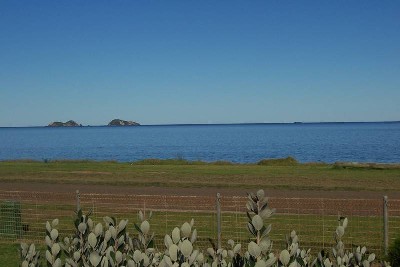 Long Beach - Ref 3459 Picture Long Beach - Ref 3459 Picture