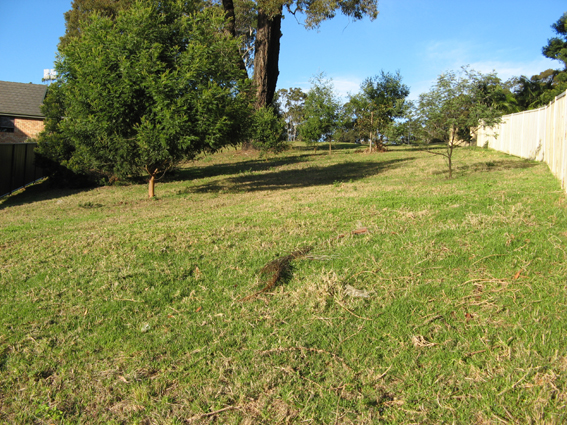 Long Beach - Ref 3471 Picture Long Beach - Ref 3471 Picture