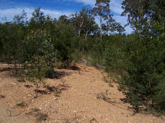 Long Beach - Ref 3448 Picture