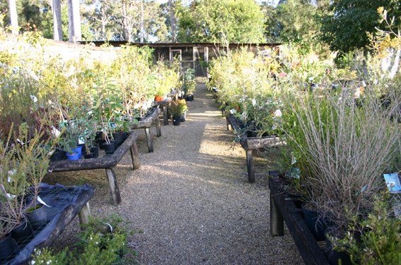 Batemans Bay - Ref 3497 Picture 2