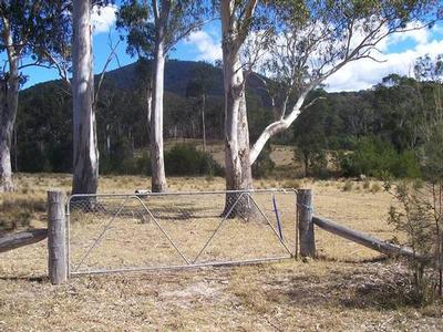 Nelligen Ref 2600 Picture Nelligen Ref 2600 Picture