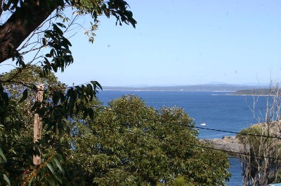 A GUERILLA BAY HOLIDAY Picture