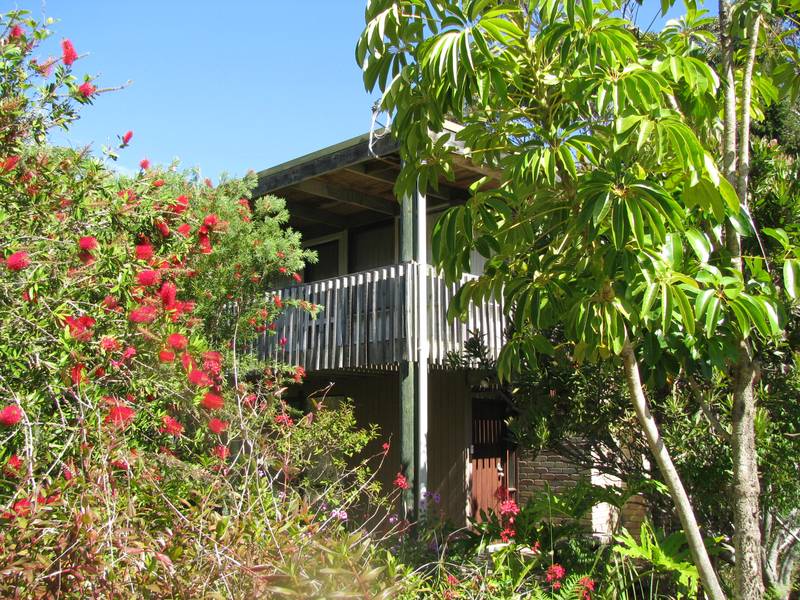 A GUERILLA BAY HOLIDAY Picture 2