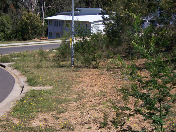 Long Beach - Ref 3564 Picture 3