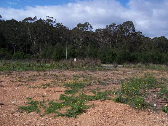 Long Beach - Ref 3583 Picture 2