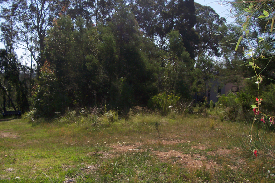 Long Beach - Ref 3594 Picture 1