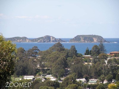 Catalina - Ref 3679 Picture