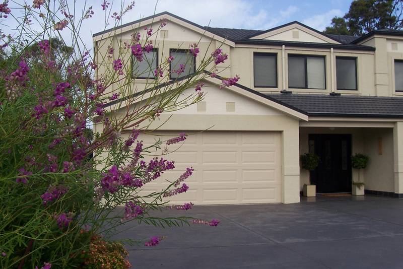 Twinkle Twinkle! Picture 2