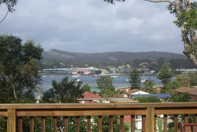 Twinkle Twinkle! Picture