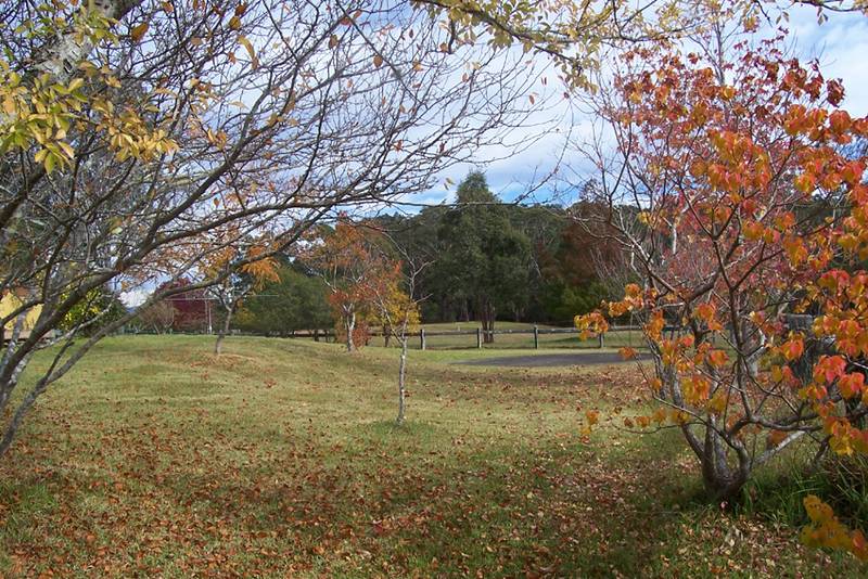 A Totally Captivating Rural Property Picture 2