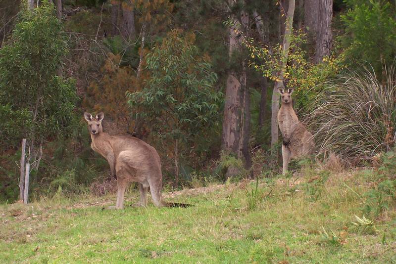 Bay & Town Views - Ref 3717 Picture 3