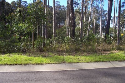 Batehaven - Ref 3731 Picture