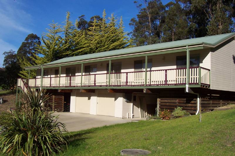 Live Large! Picture 1