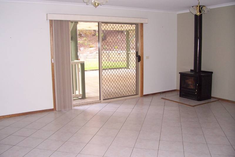 Live Large! Picture 3