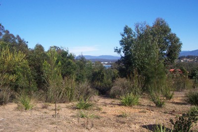 Long Beach - Ref 3765 Picture Long Beach - Ref 3765 Picture