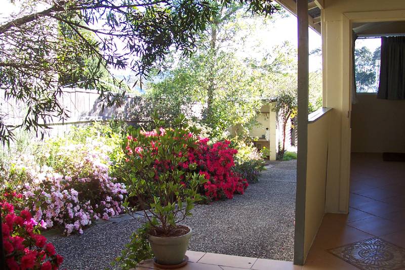 So Much to Offer! Picture 2