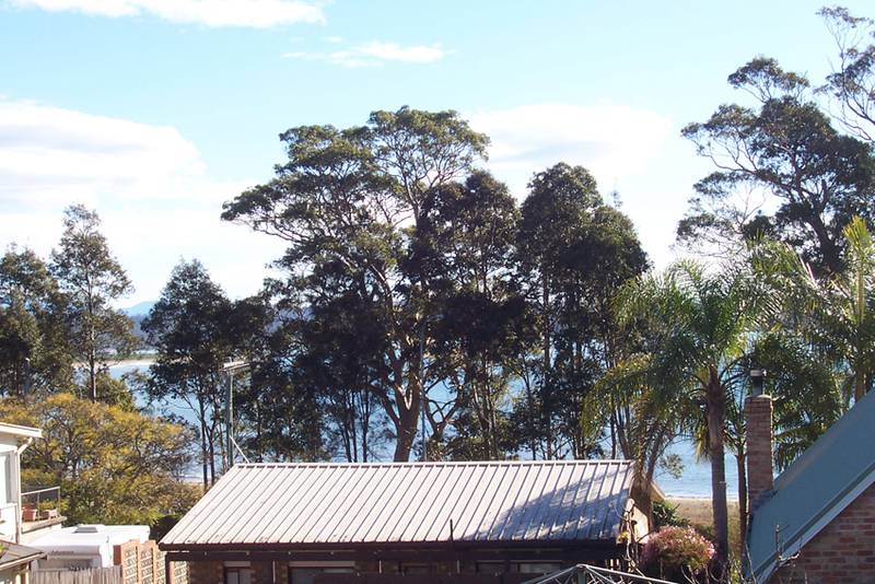 So Much to Offer! Picture 1