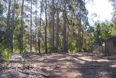 Long Beach - Ref 3773 Picture Long Beach - Ref 3773 Picture