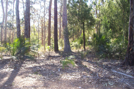 Long Beach - Ref 3774 Picture 2