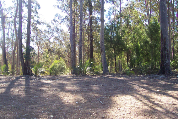 Long Beach - Ref 3774 Picture 1