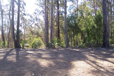 Long Beach - Ref 3774 Picture