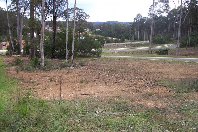 Get Ahead in Long Beach! Picture