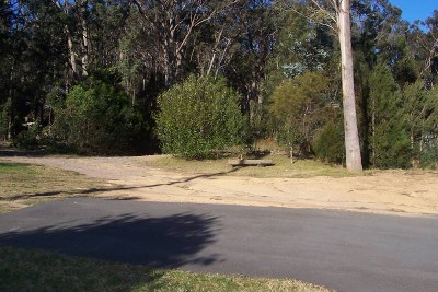 Mogo - Ref 3776 Picture