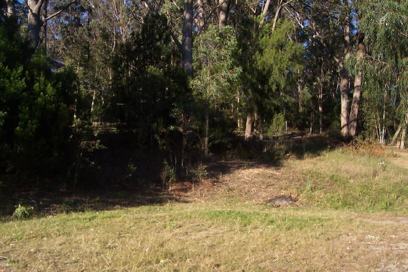 Mogo - Ref 3776 Picture 3