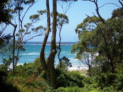 Lilli Pilli (Batemans Bay) - Ref 3295 Picture Lilli Pilli (Batemans Bay) - Ref 3295 Picture