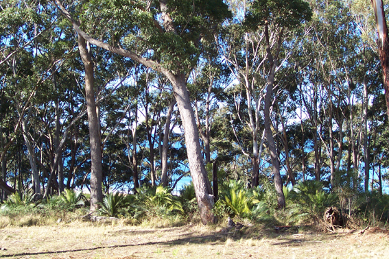 Long Beach - Ref 3475 Picture 1