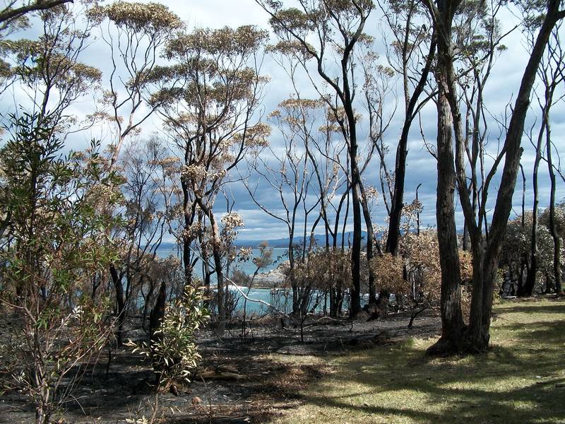 THE HARRY POTTER HOUSE - A MAGICAL PROPERTY Picture 2