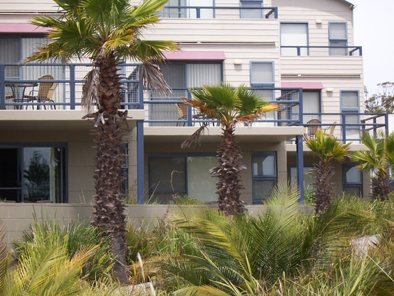 Batehaven - Ref 3785 Picture 2