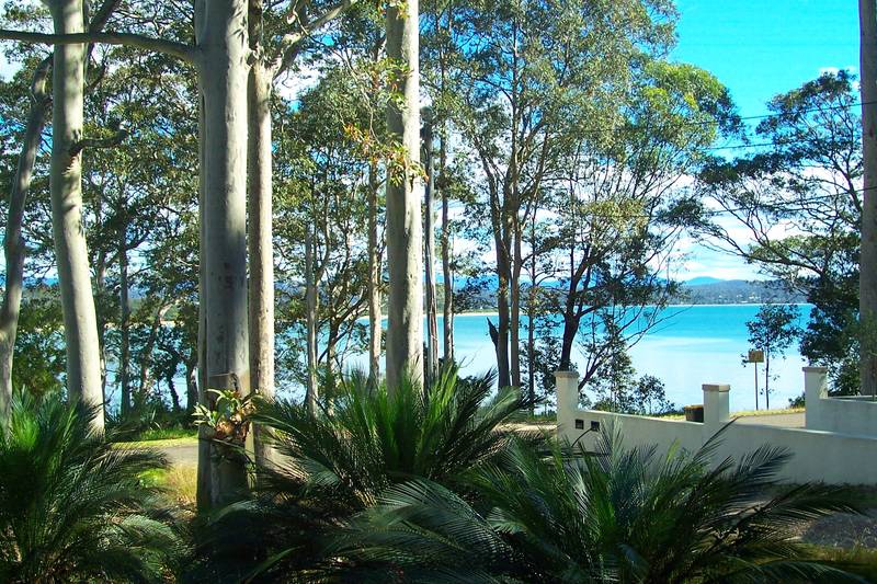 A Truly Special Offering Picture 3