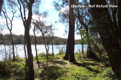 Lifestyle Opportunity Picture Lifestyle Opportunity Picture