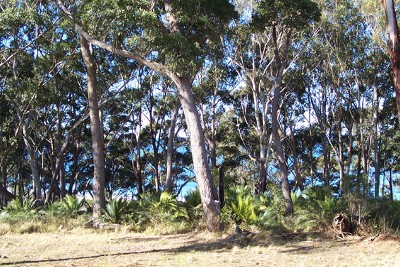 LUXURY APARTMENT LIVING Picture LUXURY APARTMENT LIVING Picture