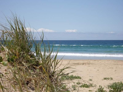 Pet Friendly House at South Durras Picture