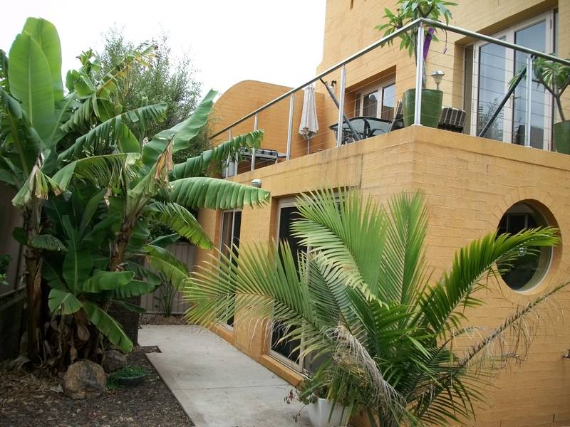 PET FRIENDLY Picture 1